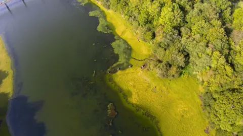A drone image of an algal bloom.