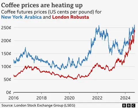 Een grafiek met de koffiefuturesprijzen voor Robusta-koffie in Londen en Arabica-koffie in New York, van januari 2016 tot begin september 2024. De prijs van beide is in de loop van de periode geleidelijk gestegen. Op 6 september bedroeg de prijs van Robusta-koffie in Londen 242 cent per pond, terwijl de prijs van Arabica-koffie in New York 247 cent per pond bedroeg.