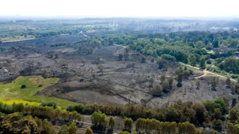 An aerial view of Chobham Common following the fire there which shows large parts of the land burned away and green trees around the edge as well as some grassland at the sides.