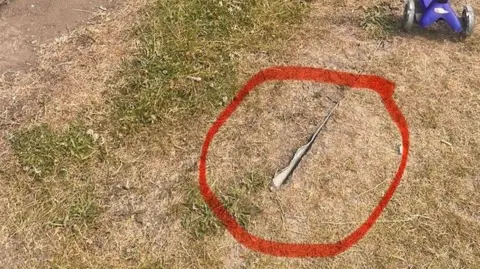Supplied A piece of metal is slightly sticking from the grassland at the park