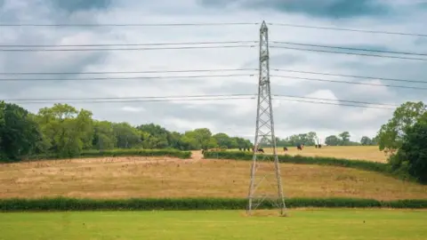 David Griffin A pylon is seen in a field