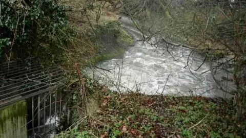 Oxford sewage treatment works outfall shows water entering the environment. The water is moving towards a channel with metal bars on it to hold back detritus. Trees and river banks surround the stream.