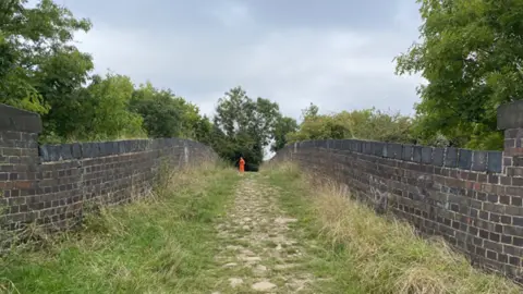A walled bridge with grass and weeds on its surface, with a construction worker in the distance wearing orange high visibility clothing. The upper branches of a number of trees are visible either side of the bridge's walls.