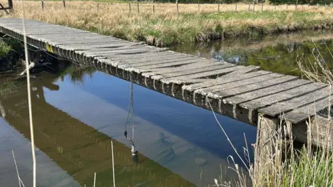 Save Windermere Wooden bridge over small section of a beck. There is a piece of string hanging from the bridge and a small ball attached to it - this is the sonde. There is greenery on the banks.