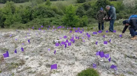 Kent Wildlife Trust The image shows three men on some land covered in small purple flags.
