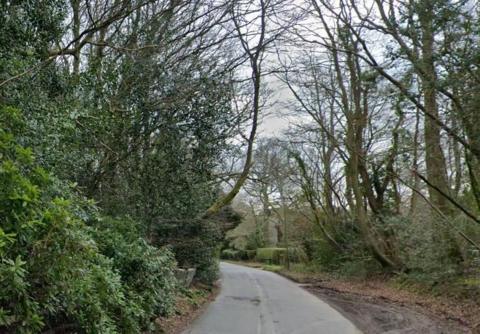 Oxbottom Lane, a rural country road surrounded by trees