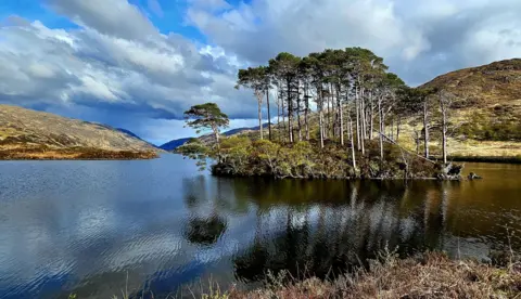 Victor Tregubov A calm loch reflecting a small island covered with tall, thin pine trees. Rolling hills and dramatic clouds frame the scene.