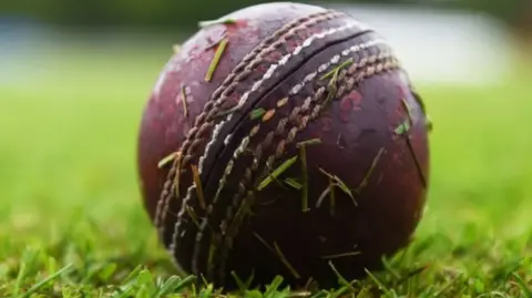 SNS cricket ball