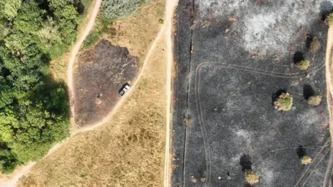 Devon Biodiversity Records Centre An aerial image showing dried out areas of grass and partially burned areas on the left and an area of blackened land on the right.