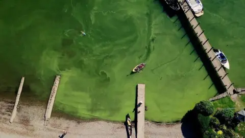 Save Windermere An aerial view of Windermere which is deep green because of algae. A number of jetties stretch into the water with boats moored alongside 