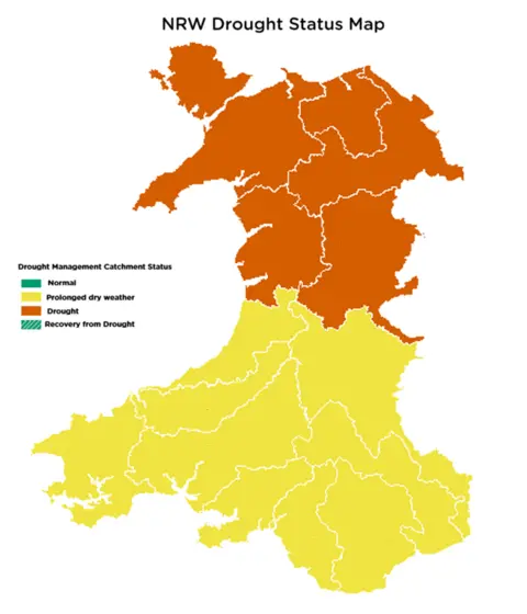 Natural Resources Wales A grpahic showing Wales, with the southern half coloured yellow for "prolonged dry weather" and the northern half coloured orange for "drought"
