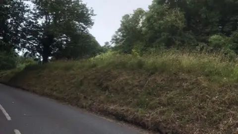Jersey Hedgehog Preservation Group A grass bank sits by the side of a road having just been trimmed 
