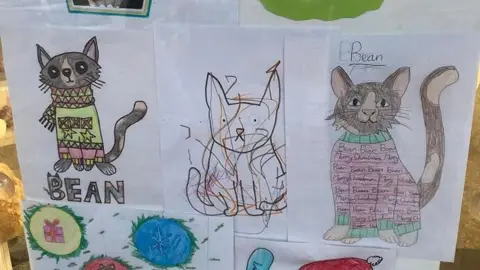 Sue Ryder Children's drawings of Bean the cat hanging in a shop window. The drawings show the cat in colourful Christmas jumpers.