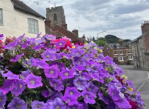 BBC Weather Watchers/Dottie Walks Purple flowers fill the foreground of the image with the square tower of a church and other town buildings visible behind.