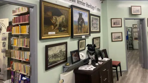 A light green wall is covered in paintings of Staffordshire bull terriers. In front of it is a statue of a black and white Staffordshire bull terrier on top of a dark brown cabinet. To the left is a doorway, through which can be seen a set of shelves lined with many books. On the right in another doorway