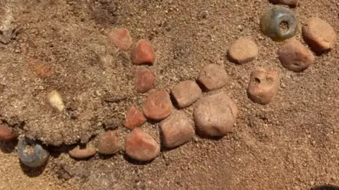 OCA Anglo-Saxon amber beads appearing from the sandy soil. They are a mid brown colour and in two rows, one on top of each other. Some of them have tilted to show their bore holes. 