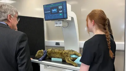 A furry model of a dog is lying on a small operating table, with a computer screen above displaying health information. A woman with a ginger plait and a man in a pinstriped suit have their backs to camera.