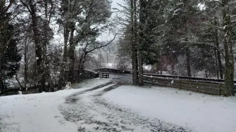 Speygirl/BBC Weather Watchers Snow covers a large open space surrounded by trees and near a rural road and small stone-built bridge.
