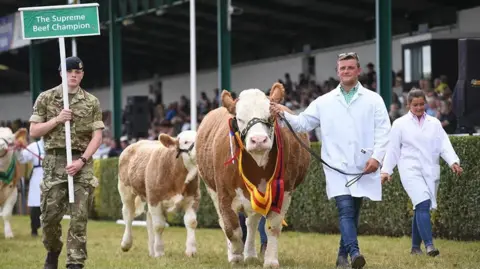 Exhibitors at the Great Yorkshire Show. People in white coats are parading cows around an arena. 