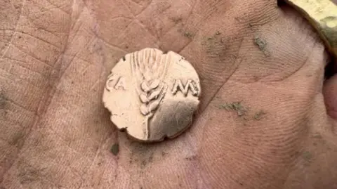 Charlie Cooper The reverse of a gold Iron Age coin resting on the palm of a hand. It has an ear of corn crossing its middle. On either side are letters, on the left CA and on the right M.