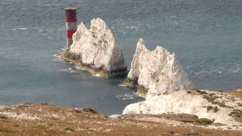 A view of the Needles from a clifftop above. The tall, jagged white rocks stretch out in a line from the coast, with a red and white lighthouse at the far end of the formation.