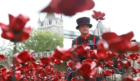 Getty Images A guard wearing formal attire looks on as red ceramic poppies are seen in the foreground against the backdrop of Tower Bridge against a grey sky.