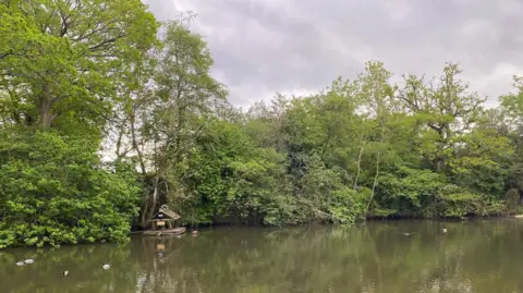 View of the pond, duck house and mature trees in the background