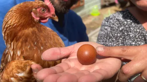 Close up of Ms Elkington holding the round egg in her hand. She is pointing to the egg with her other hand. The chicken which laid the egg is being held by Mr Elkington in the background.
