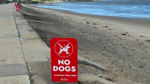 A view of a sandy beach and the sea, with paved walkway on the left. Along the walkway, red signs can be seen. They read in white lettering: no dogs, maximum sine £1,000 and have a white logo of a dog with a white cross through it.