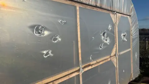 A plastic sheaf at one end of a polytunnel has several holes and punctures across it, some larger than others. 