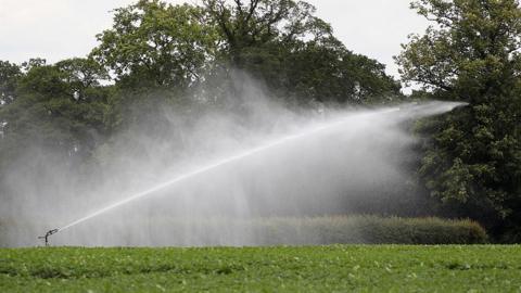 Crop being watered