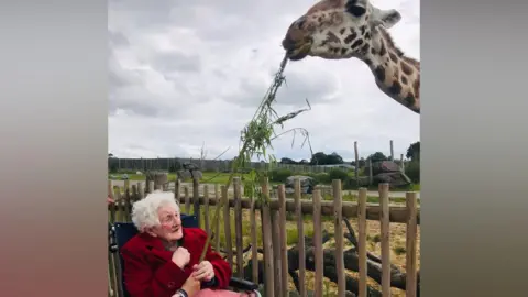 Vera sat in a wheelchair and red coat holds up a stick of bamboo for a giraffe which leans over a wooden fence.