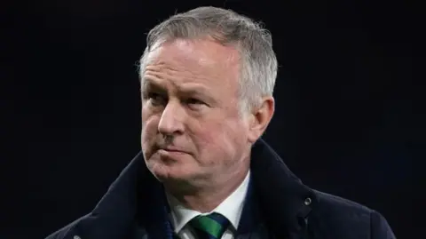 Northern Ireland manager Michael O'Neill
