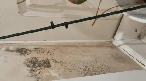 Linn Johansson Black mould on walls of flat 