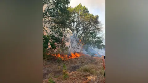 Paul Welham Flames lick the base of trees and grassland. Orange smoke billows from behind the trees. A person stands to one side of the heath.