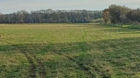 Tyre marks through a grassy field.