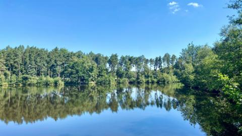 A small lake or pond in Bracknell Forest with the green from the surrounding trees reflecting in the water and with blue skies above