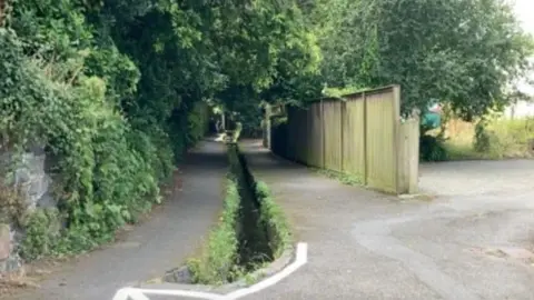 A narrow stream edge with greener runs between two paved tracks.