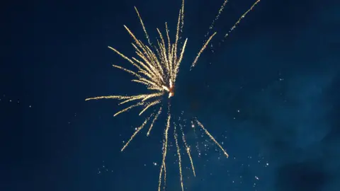 A bright yellow and white flash in the sky as a firework explodes on a dark night