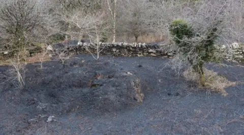 Luke Griffin Photography of Talysarn There are patches of trees and the ground is grey and black from being scorched with fire. A wall, trees and another piece of scorched earth is visible in the background.