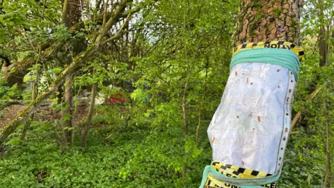 A faded handmade sign is taped to a tree beside a wood. Inside the wood, a tent can be seen. The sign says "Work desperately needed. Any job at all. Gardening is a speciality. Cheapest prices guaranteed. Please help."