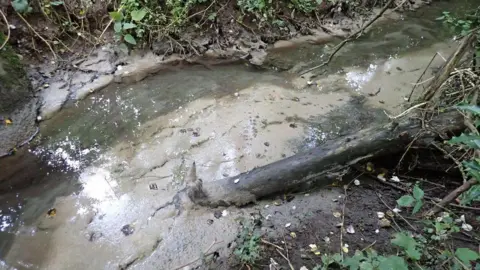 Discharged sewage in West Meadow Brook, near Whitwick, Leicestershire, in September 2022