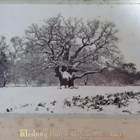 Edwinstowe Historical Society A Christmas card featuring a black and white photograph of a snow covered Major Oak