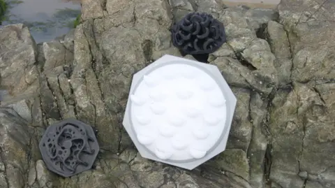 Ports of Jersey Examples of 3D tiles at Jersey Harbour