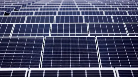 Rows of blue and silver solar panels.