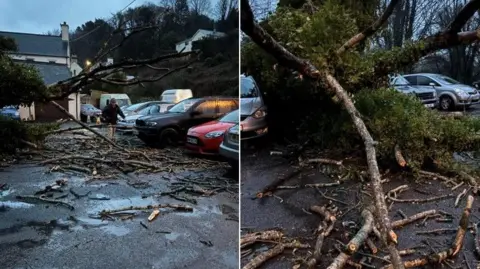 Gary Moore The picture on the left shows tree debris strewn across the car park with cars parked alongside it. Whilst the picture on the right shows the main branch of the tree fallen into cars with debris around that as well.
