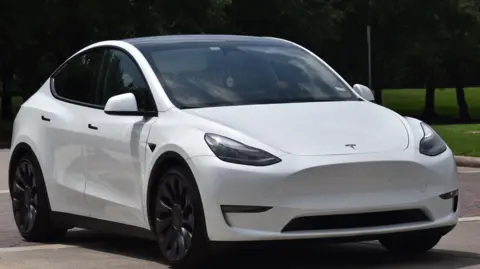 Close up of white Tesla parked near a green park.