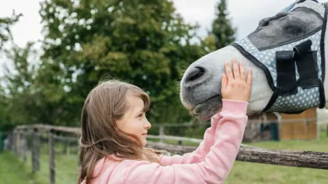 A young girl with long brown hair and a pink hoodie on is reaching up to a white horse and holding its face. The horse has a cover on its head with mesh over the eyes to protect from flies. There is a brown wooden fence between them, and green grass all around.
