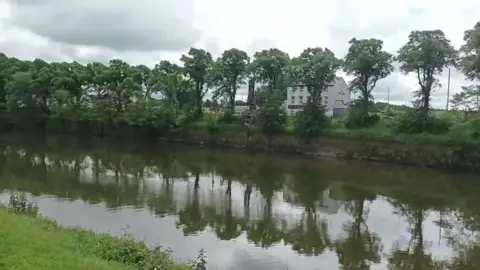 A row of trees lining the embankment of the River Ribble. The image is taken on a cloudy day and shows the Yew Tree pub in the background.