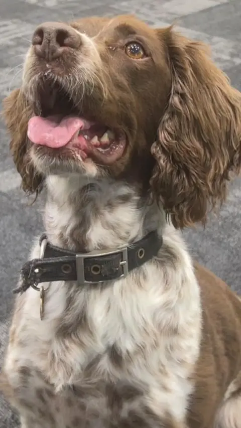 Police Dog 